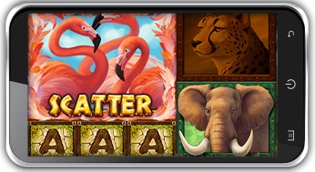 Safari Riches Slot